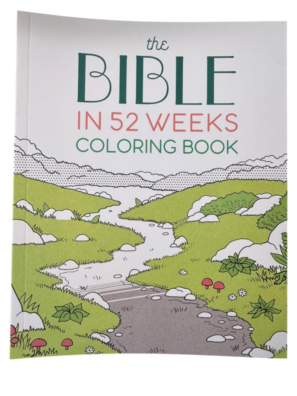 The Bible In 52 Weeks Coloring Book